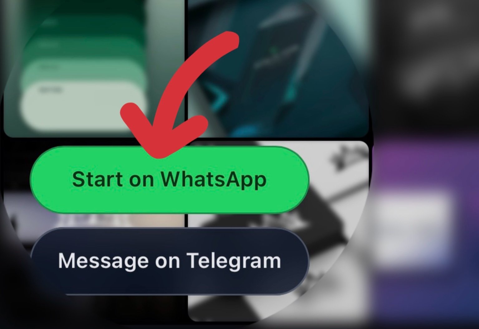 Start on WhatsApp
